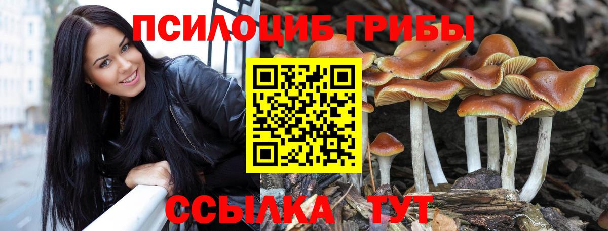 Корсаков  Галлюциногенные грибы ЛСД  Вход с VPN  Галлюциногенные грибы Magic Shrooms 